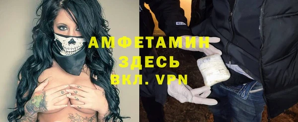 твердый Абаза
