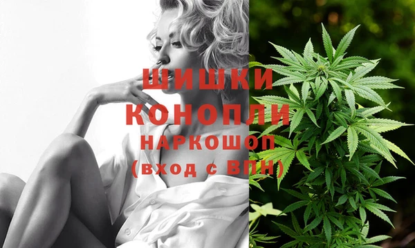 прущие грибы Абдулино