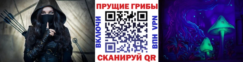 магазин    Брюховецкая  Псилоцибиновые грибы Psilocybine cubensis 